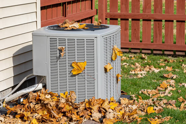 Best Furnace Cleaning in Springdale, SC